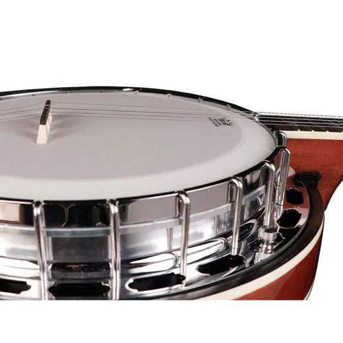 Банджо блюграс Richwood RMB-905-A