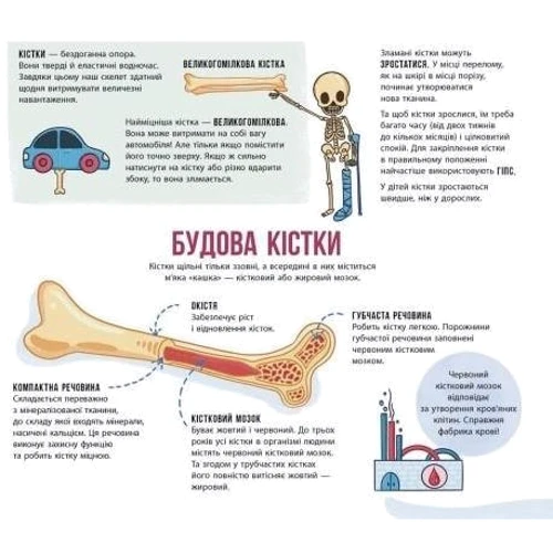 Ганна Булгакова: Скелети і кістки: Автор Анна Булгакова