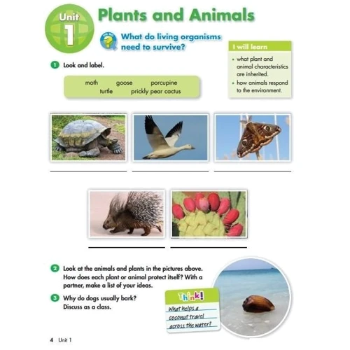 Big Science 5 Student Book: Кількість сторінок 120