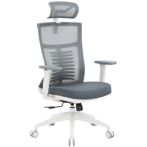 Офісне крісло OfficePro Balance (OC550-W-DG-DG)
