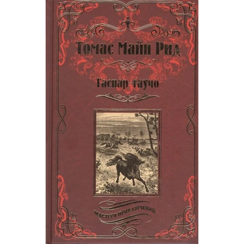 Томас Майн Рід: Гаспар-гаучо. загублене гора