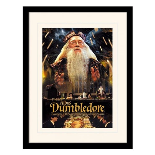 Постер в раме Pyramid International Harry Potter Dumbledore 30x40 см (MP11032P-PL)