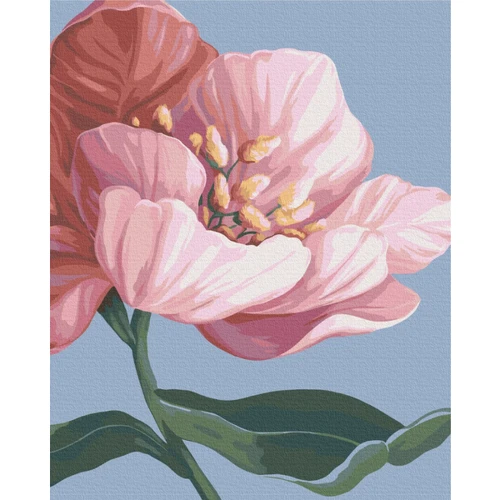 Картина за номерами Brushme Квіти © Yana Biluhina 40х50 см (BS53759)