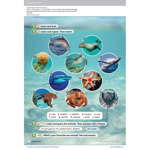 Guess What! 5: Pupil's Book: Обложка Мягкая