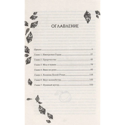 Катерина Соболь: Аніма. Книга 2. Срібний Яструб: Жанр Дитяча фантастика та фентезі