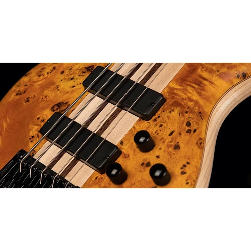 Бас-гитара CORT A5 Plus SC (Amber Open Pore) w/case