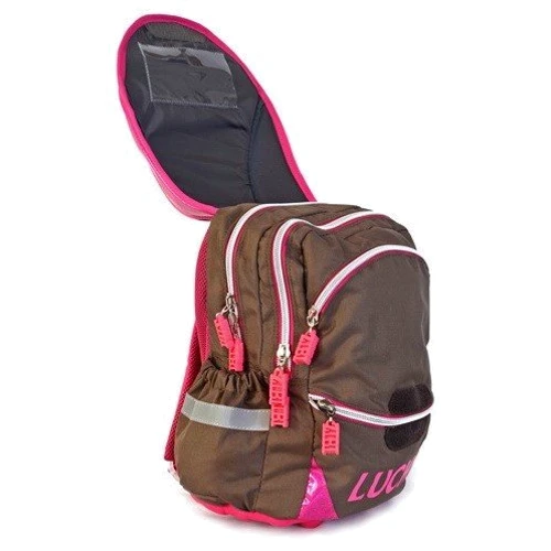 ZiBi BackPack Рюкзак каркасный LUCKY (ZB14.0003LK): Спинка Ортопедическая (анатомическая)