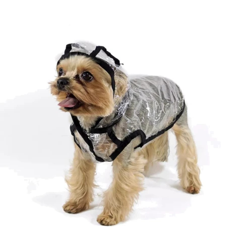 Ветровка Lucky Pet Дождик Йорк №1 прозрачная 28х40 см (483016)