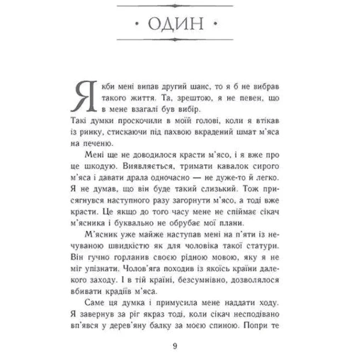 Дженніфер Е. Нільсен: Сходження на трон. Книга 1. Фальшивий принц: Виробник Ранок