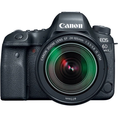 Canon EOS 6D Mark II (24-105mm) IS STM: Тип матрицы CMOS