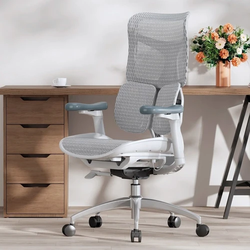 Офисное кресло Sihoo DORO S100 Mesh White (S100-M302)