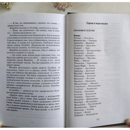 Эрин Хантер: Коты-воители. Главная надежда: Автор Эрин Хантер