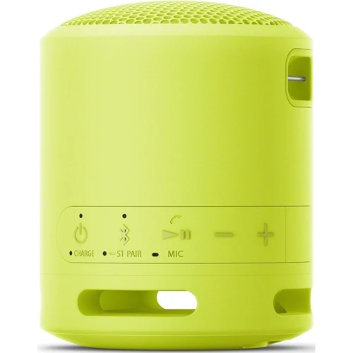 Акустика Sony SRS-XB13 Yellow (SRSXB13Y.RU2): Тип портативная