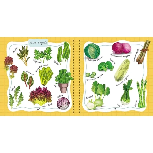 Книга для запису кулінарних рецептів. Kids menu (зелена): Количество страниц 176