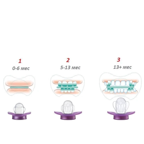 Пустышка Nip Miss Denti №2 5-13 месяцев (31801): Возраст старше 5 месяцев