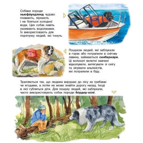 Енциклопедія дошкільника. Собаки: Количество страниц 32