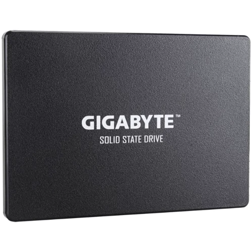 GIGABYTE GP-GSTFS31256GTND: Тип накопителя внутренний