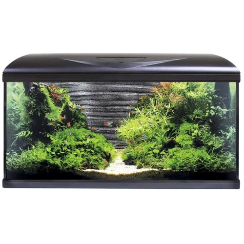 Акваріум Amtra System 80 Led Black 85 л з фільтром, помпою та нагрівачем Фон каміння 80x32x48 см (A2001033)