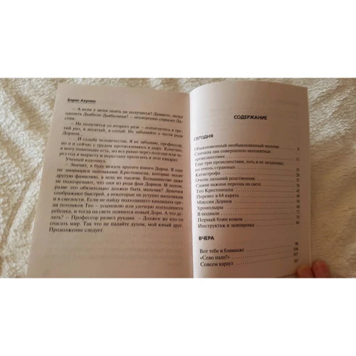 Борис Акунин: Детская книга для мальчиков: Количество страниц 509