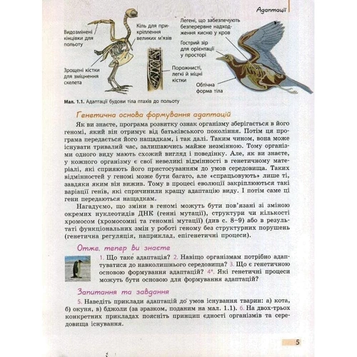 Біологія і екологія. Рівень стандарту. Підручник для 11 класу закладів загальної середньої освіти: Количество страниц 208