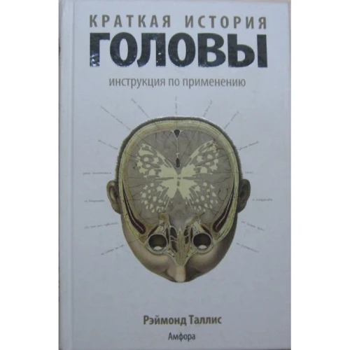 Реймонд Талліс: Коротка історія голови: Виробник Амфора