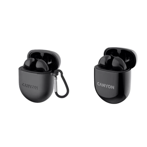 Наушники Canyon TWS-6 Black (CNS-TWS6B): Тип конструкции вкладыши