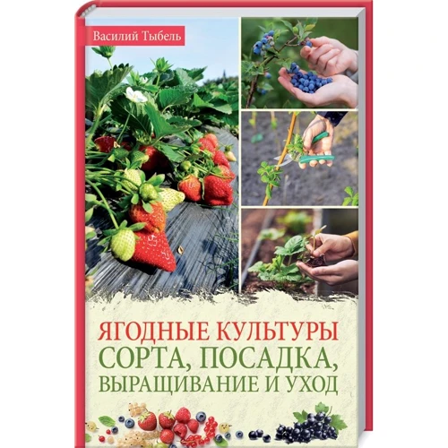 Василий Тибель: Ягодные культуры. Сорта, посадка, выращивание и уход