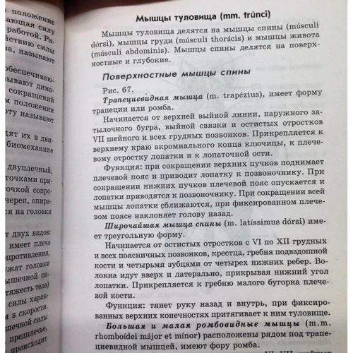 Александр Швырев: Анатомия и физиология человека с основами общей патологии: ISBN 978-5-222-31853-9