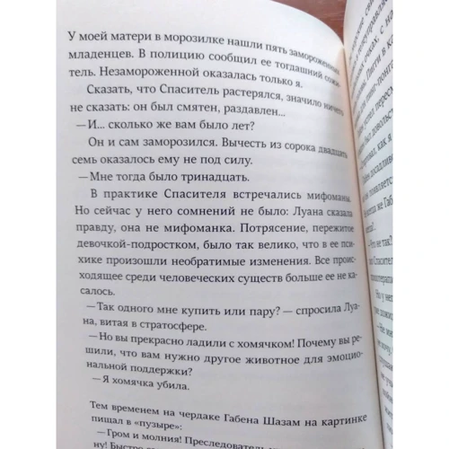 Марі-Од Мюра: Спаситель і син. сезон 5: Жанр Сучасна проза