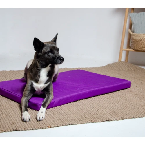 Матрас Lucky Pet Харлей №3 для собак синий 50х70х5 см (213248): Тип Лежак