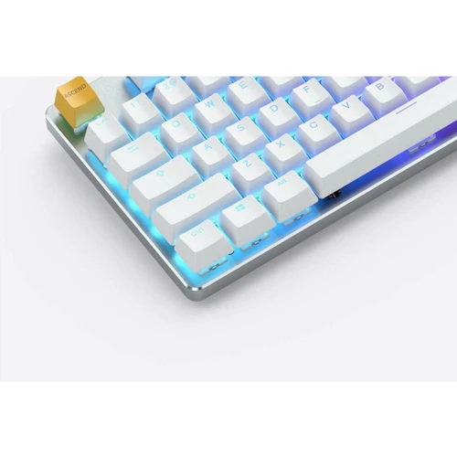Клавиатура Glorious GMMK TKL White (GLO-GMMK-TKL-BRN-W): Интерфейс подключения USB
