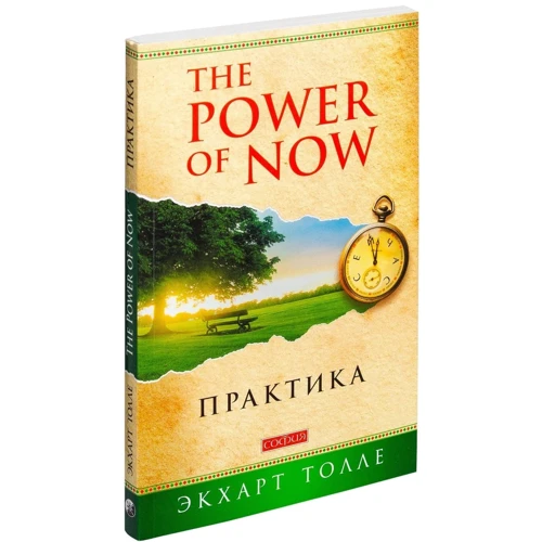 Екхарт Толле: Практика "The Power of Now": Обкладинка М'яка