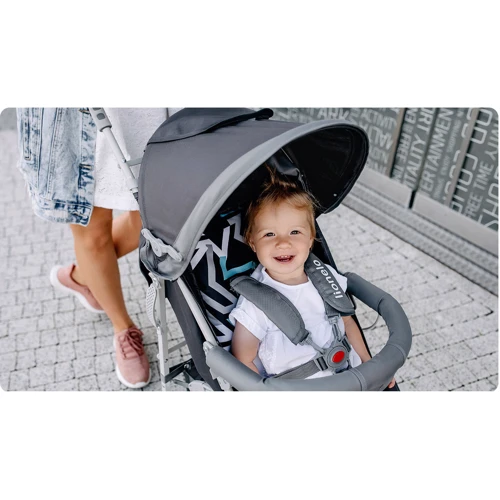 Прогулочная коляска Lionelo Elia Grey White: Тип коляски Коляска-трость