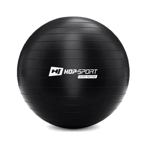 Мяч для фитнеса Hop-Sport HS-R055YB black 55 см