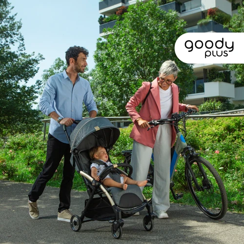 Прогулочная коляска Chicco Goody Plus Stroller City Map Re-Lux (79877.57): Тип коляски Прогулочная