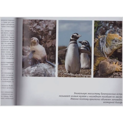 Жемчужины нашей планеты. Уникальные творения природы и человека: ISBN 978-966-942-673-4