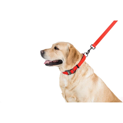 Поводок WAUDOG Waterproof, светящийся 25 мм 183 см красный (27223): Тип Поводок