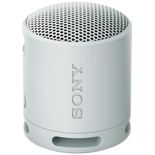 Акустика Sony SRS-XB100 Grey (SRSXB100H.CE7)