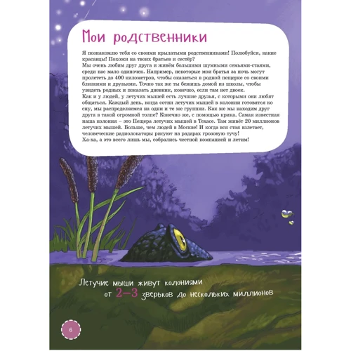 Мария Абрамова: Я летучая мышь: Обложка Твердая