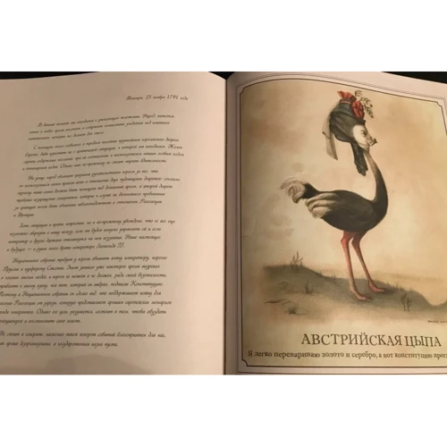 Бенжамен Лакомб: Марія-Антуанетта. Таємний щоденник королеви: Обкладинка Тверда