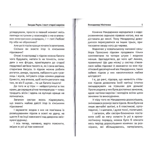 Володимир Нікітенко: Зануда Рауль і лист старої маркізи: Обложка Твердая
