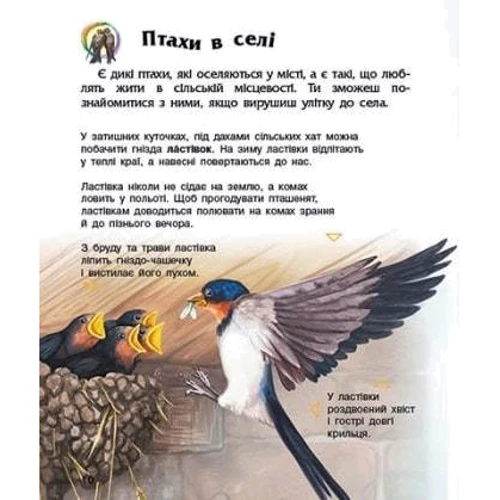 Енциклопедія дошкільника. Птахи: Обложка Мягкая