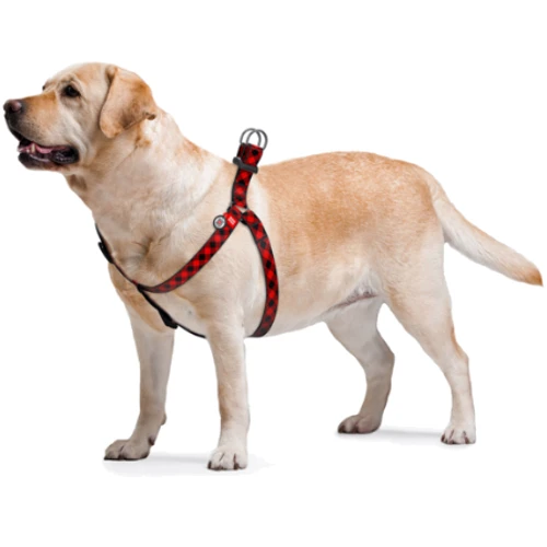 Шлея WAUDOG Nylon с QR-паспортом, рисунок "Шотландка красная" 15 мм 40-55 см красная (4981) фото 2
