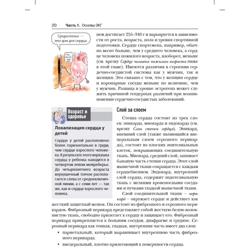 Джессика Шенк Ковьелло: ЭКГ. Анализ и интерпретация: Автор Джессика Шенк Ковьелло