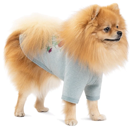 Кардиган Pet Fashion Denis XS2 м'ятний (4823082434602): Обхват шиї 32-39 см