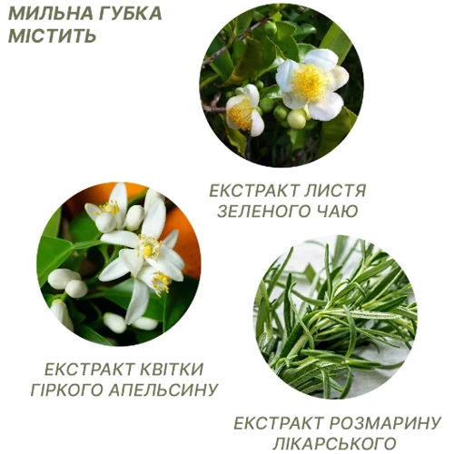 Одноразовий Сухий Душ Estem Military (4820270570029) фото 3