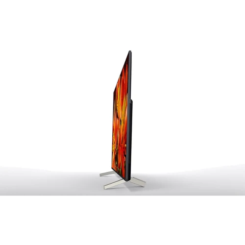 Монитор Sony Bravia FW-55BZ35F: Тип ЖК-матрицы IPS