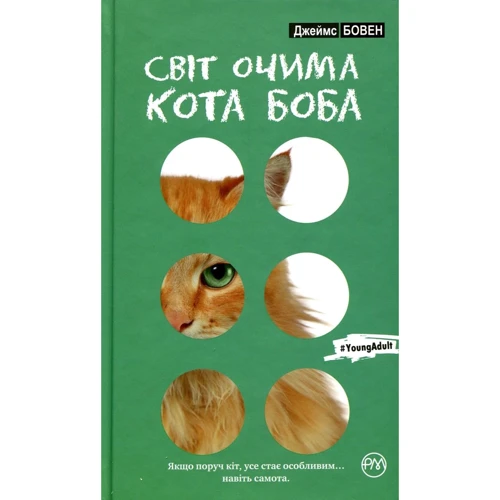 Джеймс Бовен: Світ очима кота Боба