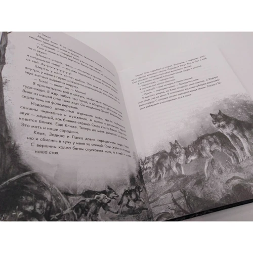 Розанна Перри: Волк по имени Странник: ISBN 978-5-00146-316-0