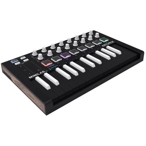 MIDI-клавиатура Arturia Minilab MKII Inverted: Механика Динамическая